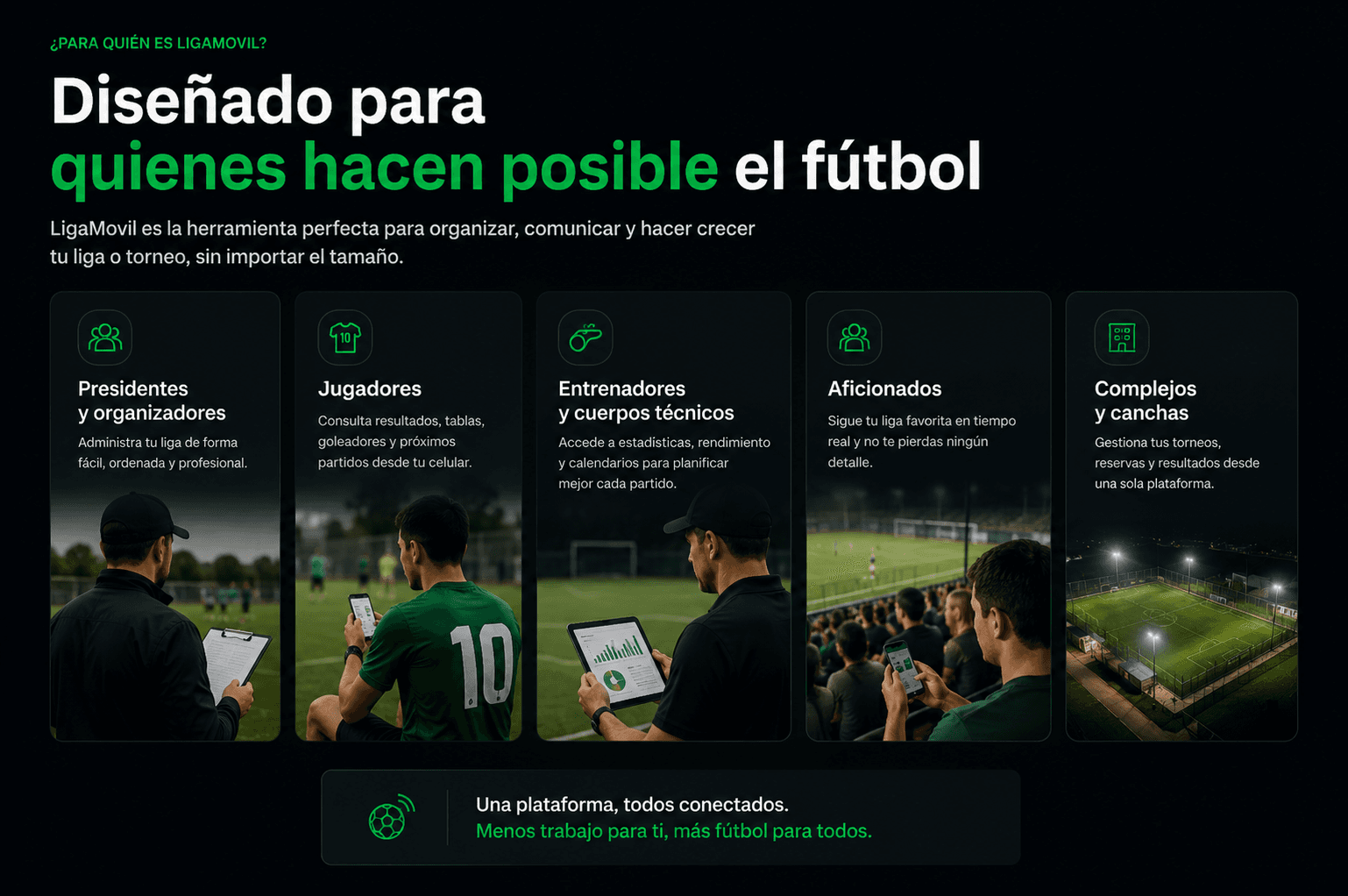 Sección de audiencias de LigaMovil